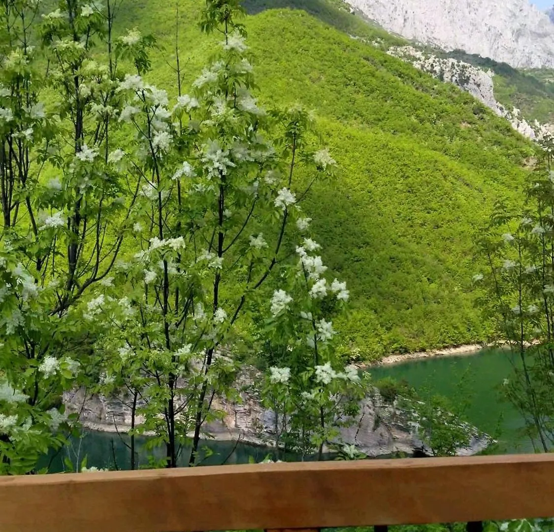 בית הארחה Twin Villas Komani Lake אלבניה