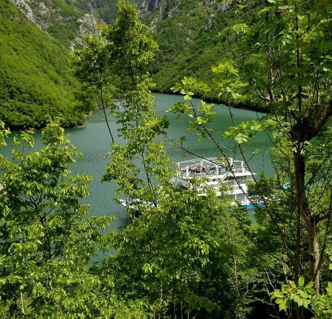 בית הארחה Twin Villas Komani Lake
